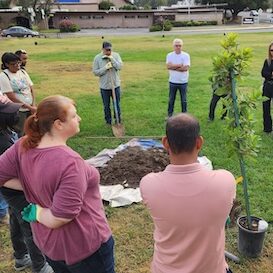 Tree Planting with missingtrees.com